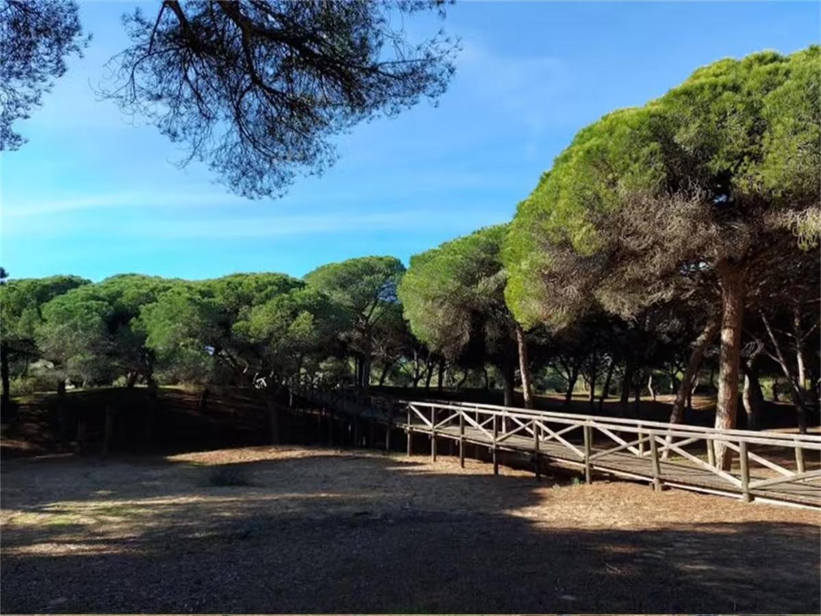 Rota Punta Candor Terrace Playa 3 Bajo C Zewnętrze zdjęcie
