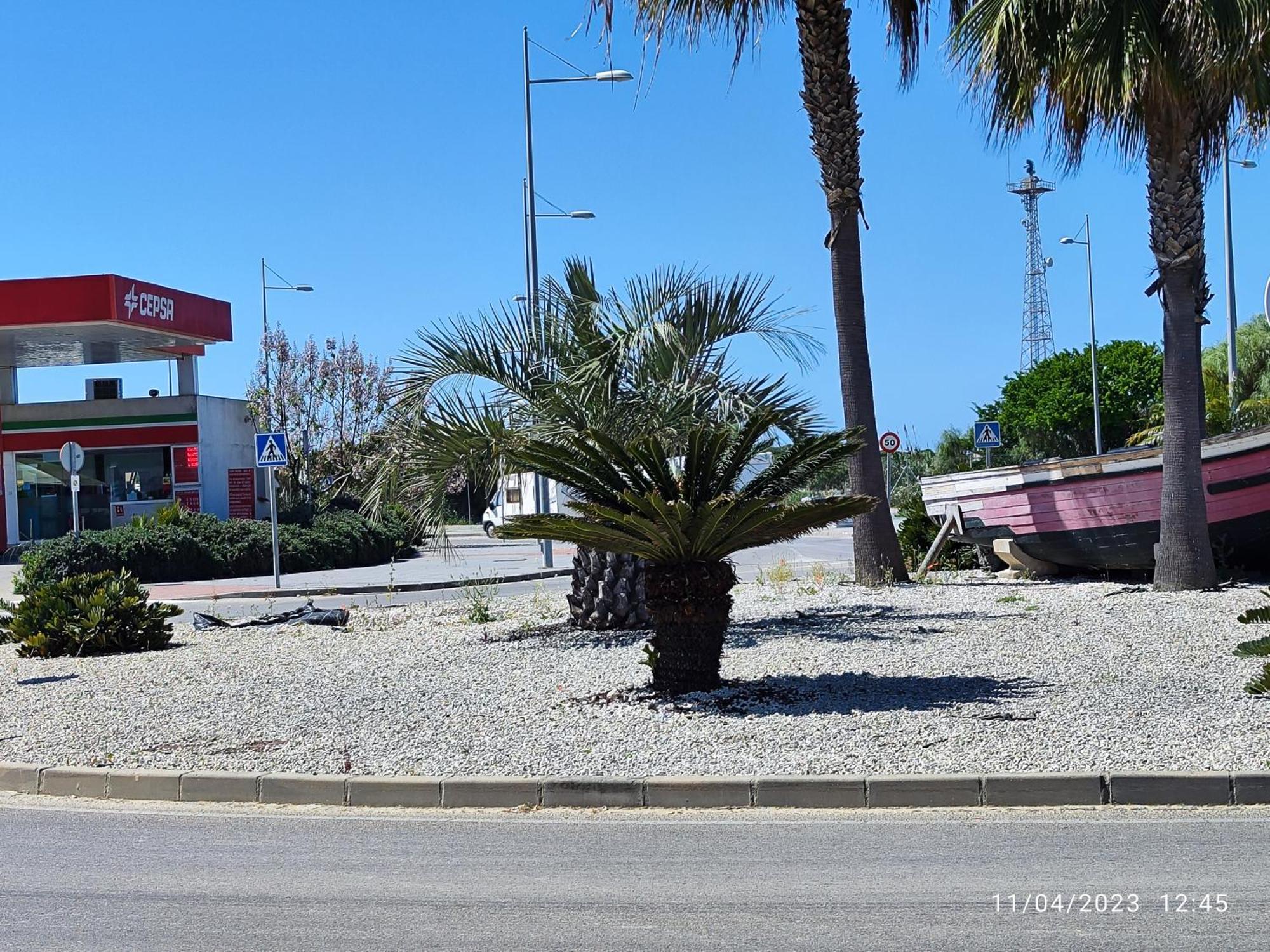 Rota Punta Candor Terrace Playa 3 Bajo C Zewnętrze zdjęcie